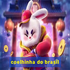 coelhinha do brasil