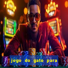 jogo do gato para ganhar dinheiro