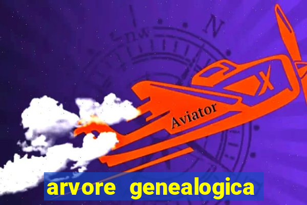 arvore genealogica dos gracie