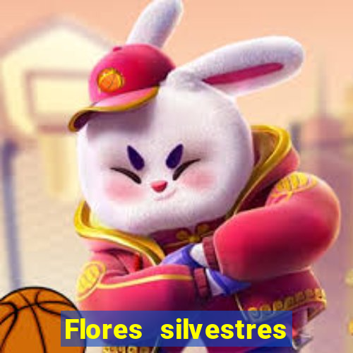 Flores silvestres brasileiras 25