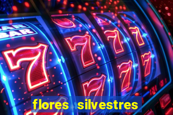 flores silvestres desbravadores desbravadores 25 flores silvestres e seus nomes