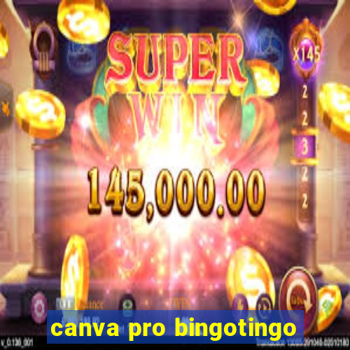 canva pro bingotingo