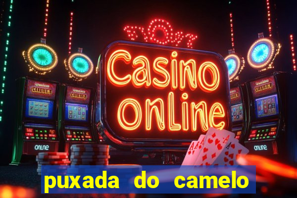 puxada do camelo jogo do bicho