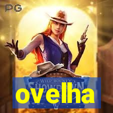 ovelha