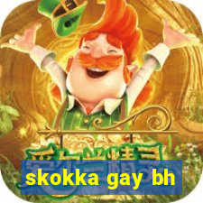 skokka gay bh