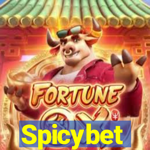 Spicybet