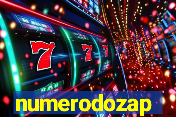 numerodozap